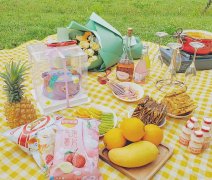 适合野餐的化妆品牌排行榜(适合野餐的化妆品牌排行榜前十名)