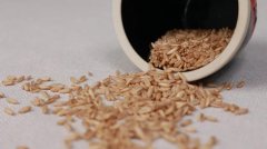 减肥期间怎么搭配饮食(减肥期的饮食搭配)