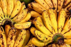 怎么吃香蕉(怎么吃香蕉调节便秘)