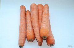 白萝卜减肥方法大全(白萝卜减肥方法大全图解)