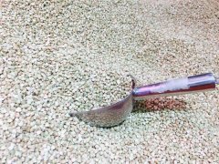 水桶腰怎么形成的(水桶腰的腰怎么写)