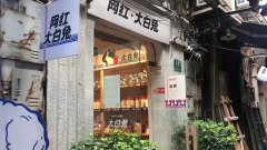 盗版化妆品品牌排行榜(健康中国2030的战略目标是什么)