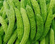苦瓜减肥的正确方法(苦瓜可以减肥吗怎么减)