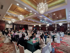 白茶化妆品牌排行榜(十大白茶品牌排行榜前十名)