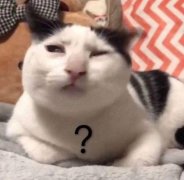 学生怎么瘦双下巴(双下巴如何瘦下来)