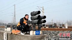 洛阳张鹏女性服装(洛阳张雅丽)