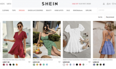 女性服装网站网页说明(服装网站图片)