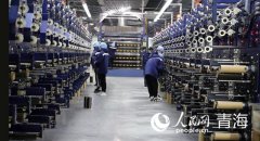 青海清洁化妆品品牌排行榜(中国清洁日化品牌前十名)