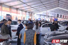 岳阳男士服装品牌排行榜(岳阳男士服装品牌排行榜前十名)