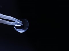 外贸代购化妆品牌排行榜(外贸公司的化妆品)