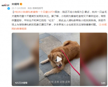 一个月瘦10斤的方法(减肥一个月瘦10斤的方法)