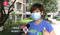 贵州小孩服装品牌排行榜前十名(儿童知名品牌服装排名)