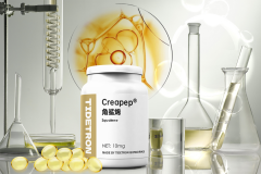 新百化妆品品牌排行榜(上海市中英文核酸检测机构)