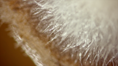 女性服装百年演变史视频(女性服装百年演变史视频播放)