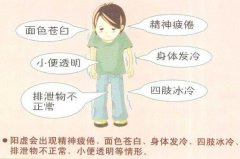 10个胖子9个虚 虚胖怎么减肥