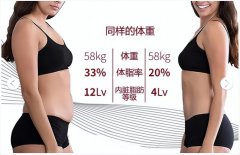 怎么锻炼有腰有屁股(平常怎么锻炼腰)