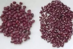 瘦身红豆水怎么做(红豆水能减肥吗)