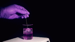 男用丝袜化妆品牌排行榜(男袜十大品牌)