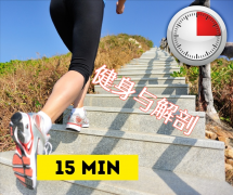 怎么快速瘦肚子运动(怎样运动瘦肚子快)