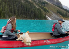 婚庆主持人服装品牌排行榜(婚庆主持人服装品牌排行榜前十名)