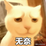 有什么快速的减肥方法(有没有什么快速的减肥方法)