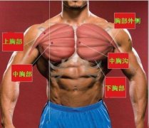 杠铃卧推手怎么握(哑铃卧推怎么握)