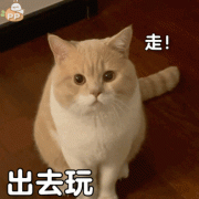 16天减肥法怎么回事(16天减肥食谱)