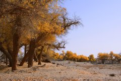 职业服装女性视频教程(女服装介绍视频教程)
