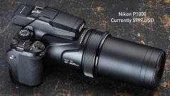 动物化妆品牌排行榜大全(宠物品牌排行榜)