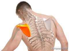 怎么练背阔肌(怎么练背阔肌力量)