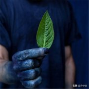 日本纯棉服装品牌排行榜(日本纯棉服装品牌排行榜前十名)