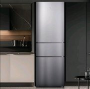 化妆品冰箱品牌排行榜(冰箱国际品牌排行榜前十名)