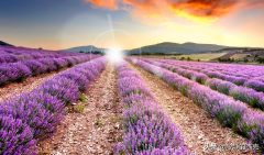 新疆家具化妆台品牌排行榜(新疆家具化妆台品牌排行榜大全)