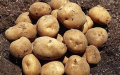 小孩瘦腿(小孩瘦腿方法小妙招)