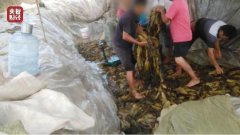 新加坡化妆包品牌排行榜(新加坡化妆品品牌排行榜)