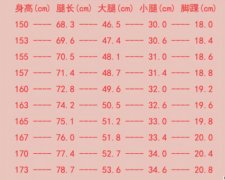 大腿围怎么量图解(大腿小腿围怎么量图解)