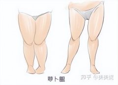 快速瘦腿的方法学生(快速瘦腿的方法学生党)