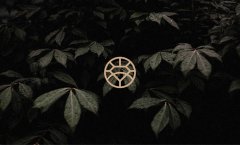 新款绿色化妆包品牌排行榜(化妆包排名)