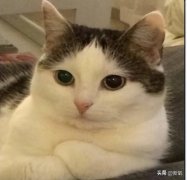 民国白人女性服装图片欣赏(民国女式服装)