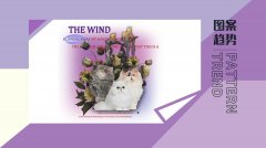 女性服装图案网站推荐大全(服装花型图案网站)