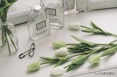 小资女性服装特点(小资风格服装)