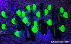 欧洲女性服装演变过程图(欧洲男性服装演变)