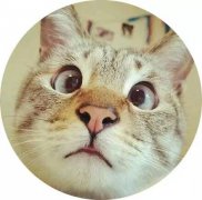 女性二次元服装描写(女性二次元服装描写视频)