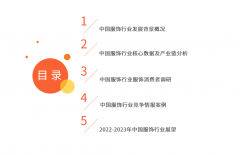 全国女性服装采购网站有哪些(中国服装采购信息网)