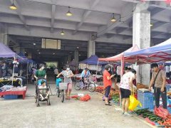 广州哪里卖中年女性服装(广州哪里有中年人的衣服批发市场)