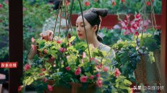 古代女性侍卫服装图案(汉代侍卫服装的描写)