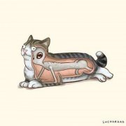 电疗减肥方法(电疗减肥方法视频)