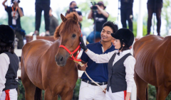 看马术比赛女性穿什么服装(马术穿什么衣服)