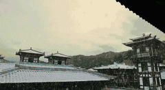 大秦女性服装图片高清壁纸(秦美人壁纸)