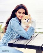 女性高端服装品牌大全直播(女士高端服装品牌)